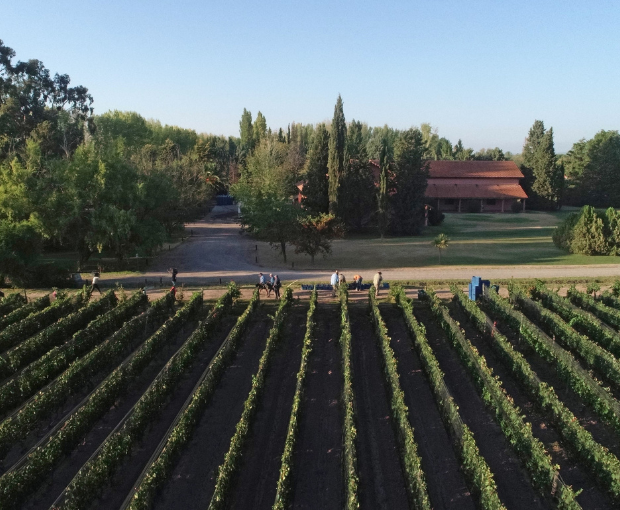 Malbec Reservado, Fabre Montmayou