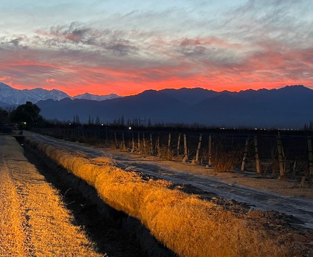 Chardonnay Reservado, Fabre Montmayou