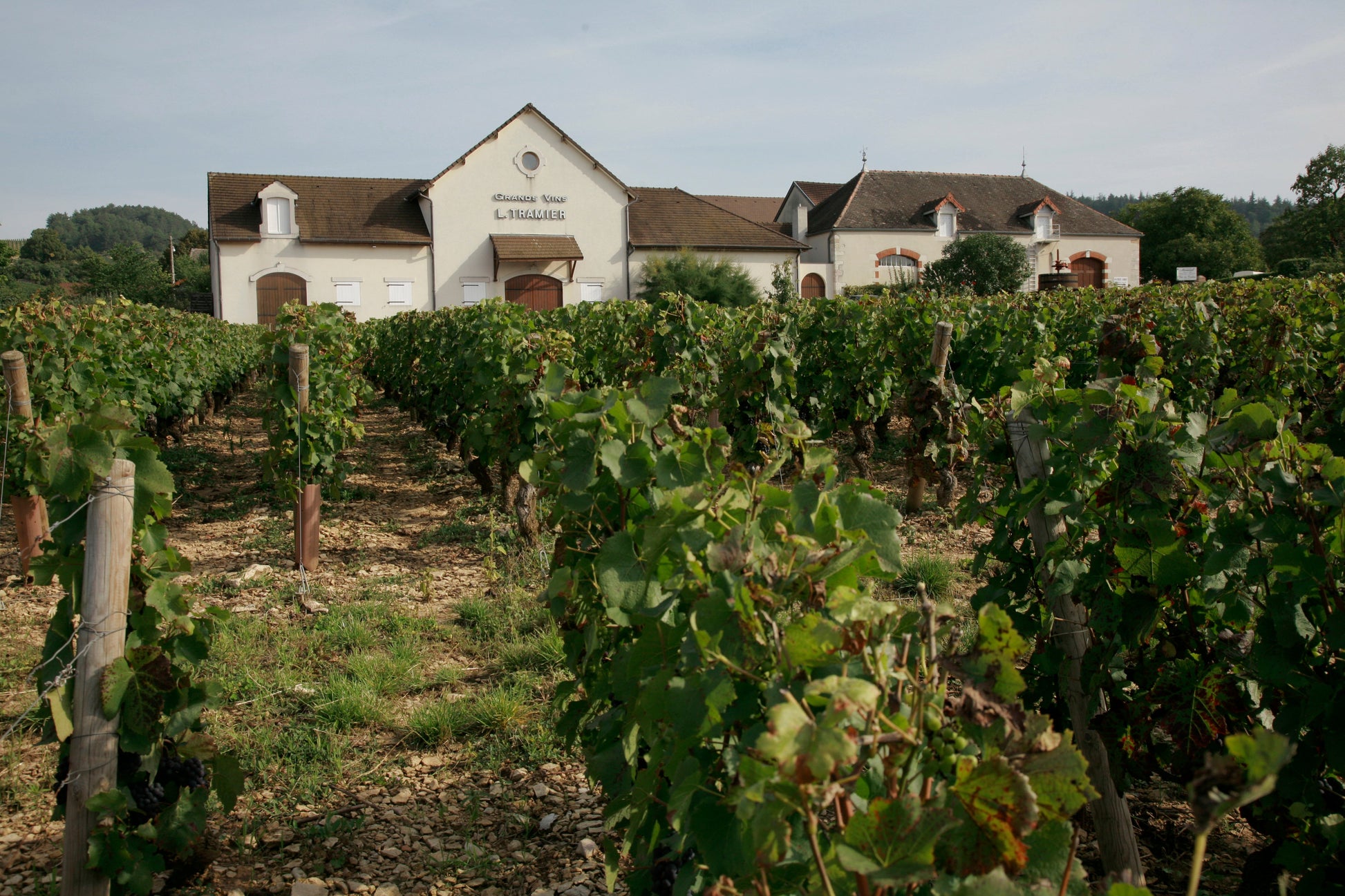 Roncier Rosé VdF NV, Louis Tramier & Fils