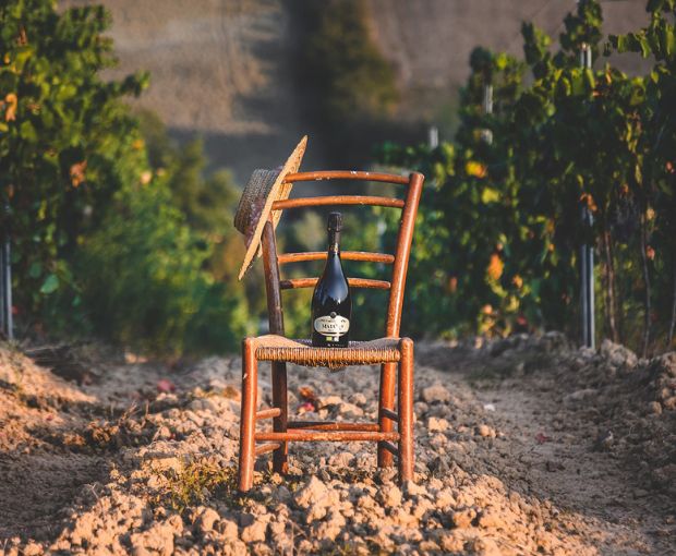 Maiano Brut Spumante, Tenuta Maiano