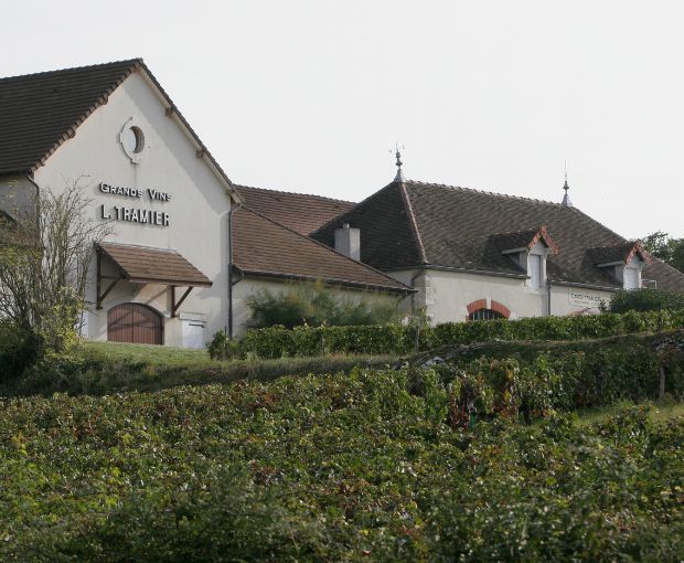 Roncier Rouge VdF, Louis Tramier & Fils