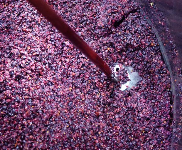 Chambolle Musigny AOC 2017, Domaine Marchand-Grillot