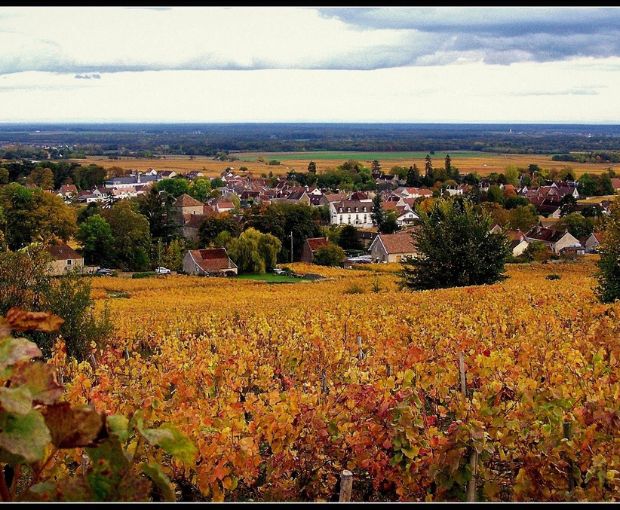 Ruchottes-Chambertin AOC Grand Cru 2021, Domaine Marchand-Grillot
