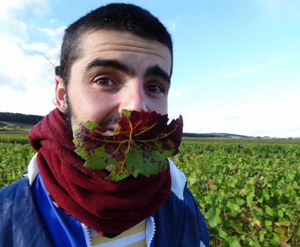 Gevrey-Chambertin AOC En Créot 2021, Domaine Marchand-Grillot