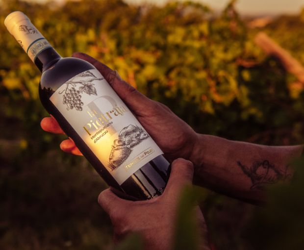 Montepulciano d'Abruzzo DOP La Pietraja, Tenute del Pojo