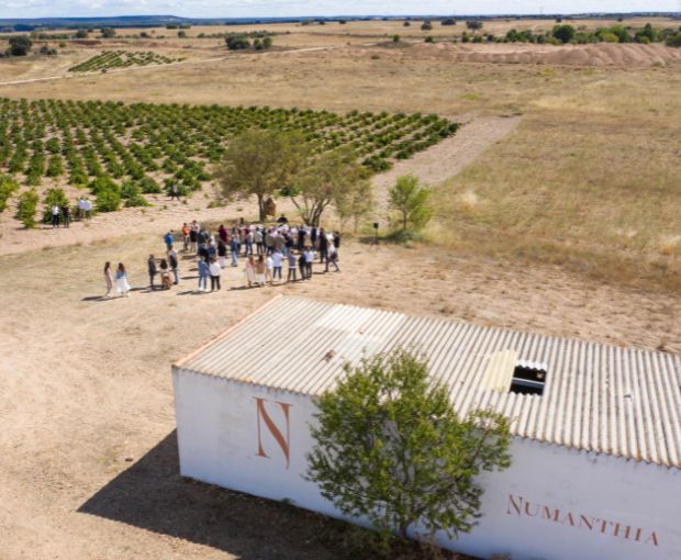 Numanthia 2019, Bodega Numanthia