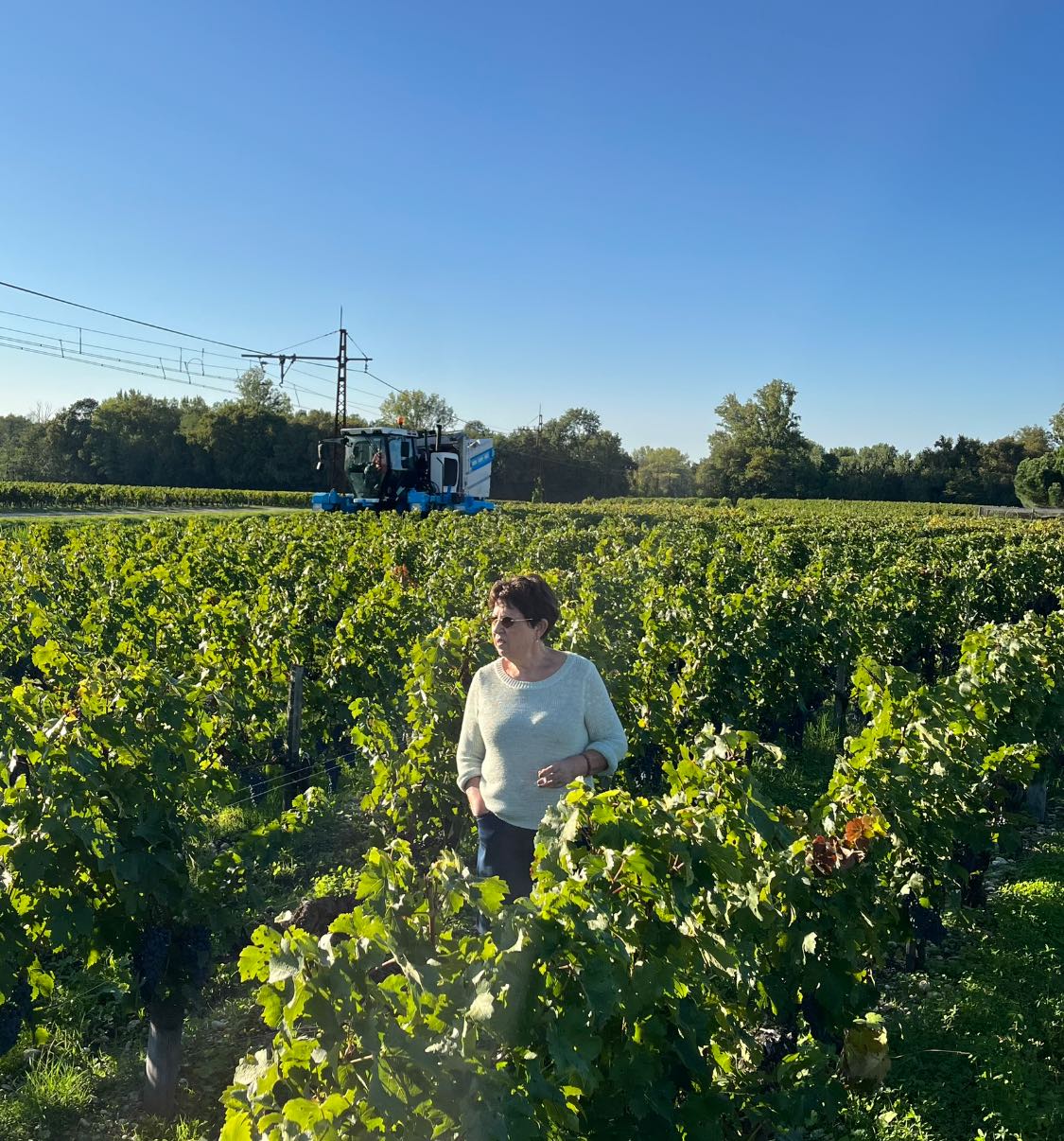 Margaux Cuvée Nicolas AOC 2019, Château Tayac