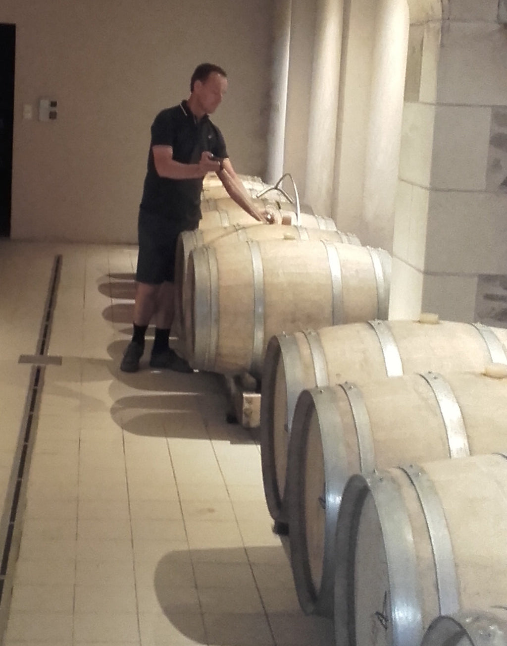 Savennieres AOC Les Bastes 2021, Domaine des Barres