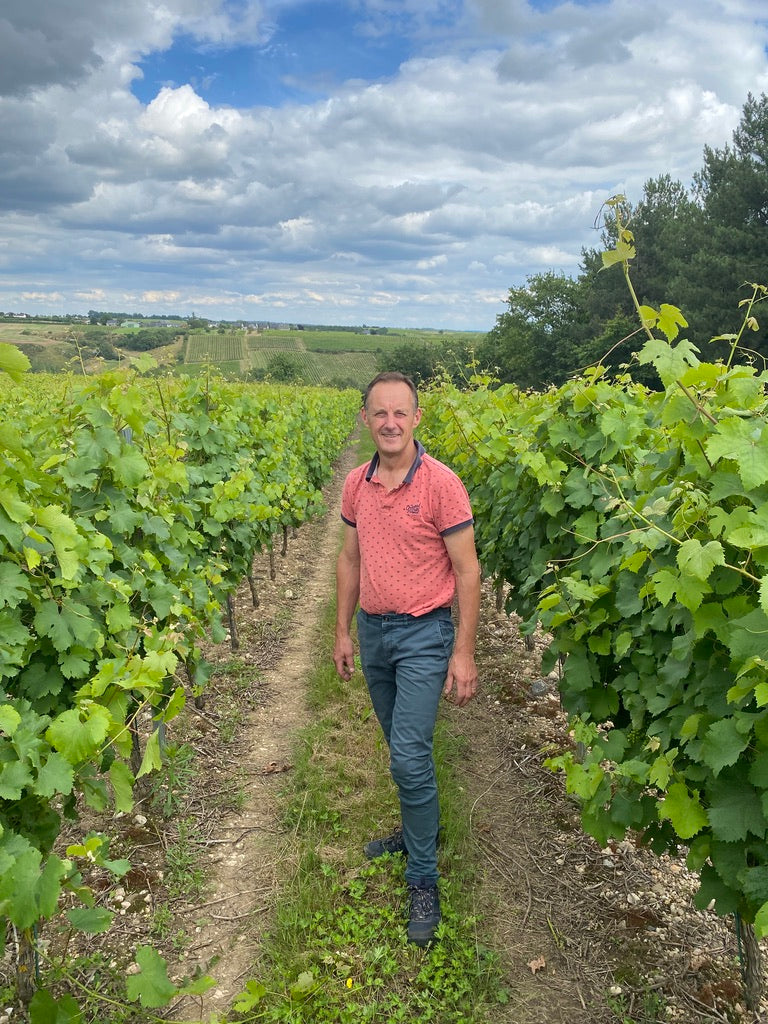 HALF Anjou Gamay AOC, Domaine des Barres