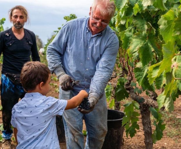Bacca Bianca IGT Puglia, Cantine Ionis
