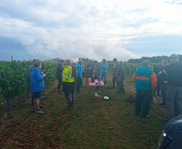 Chinon AOC, Domaine du Puy Rigault