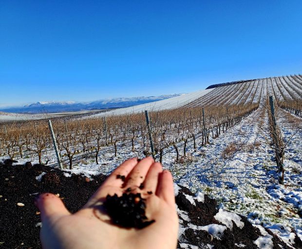 Rioja Alta Blanco D.O.Ca, Lagar de Cayo