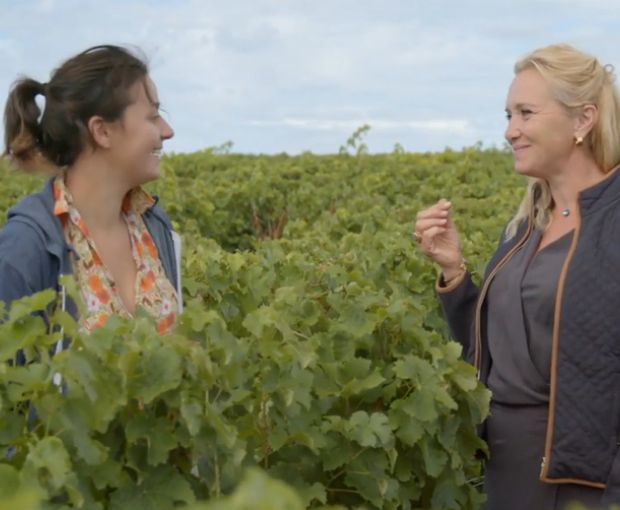 Coteaux-du-Giennois AOC Blanc , Domaine Raimbault Pineau