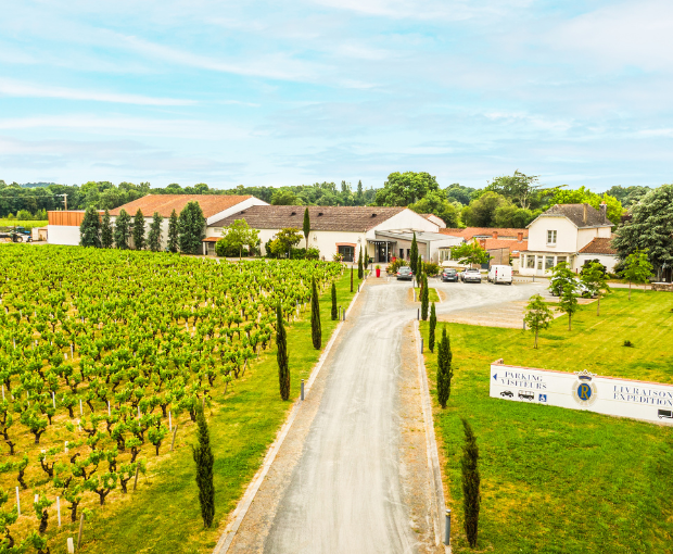HALF Muscadet Sèvre & Maine AOC sur Lie Vieilles Vignes, Domaine R de la Grange