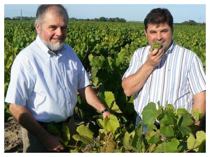 HALF Muscadet Sèvre & Maine AOC sur Lie Vieilles Vignes, Domaine R de la Grange