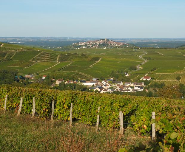 Sancerre Rosé AOP, Domaine de Sacy
