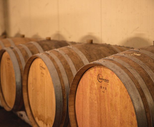 Costières de Nîmes AOP Les Hauts de Coste-Rives Rosé, Château Saint-Bénézet