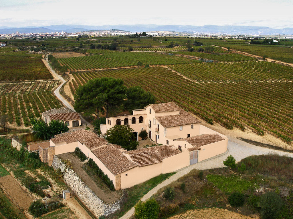 Cava Brut D.O. Sogas Mascaró