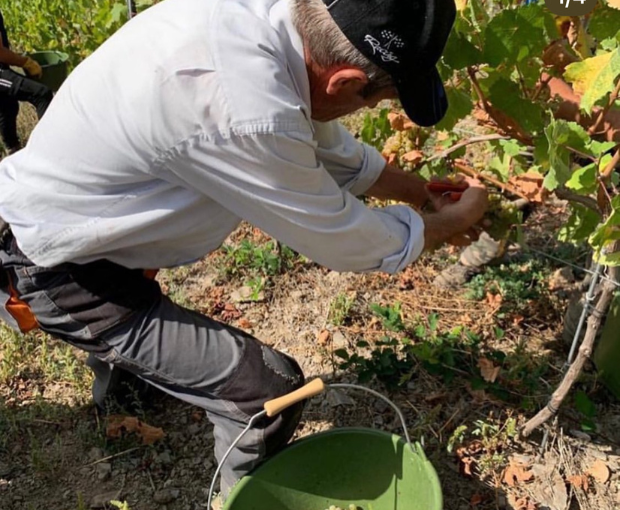 Cava Brut D.O. Sogas Mascaró