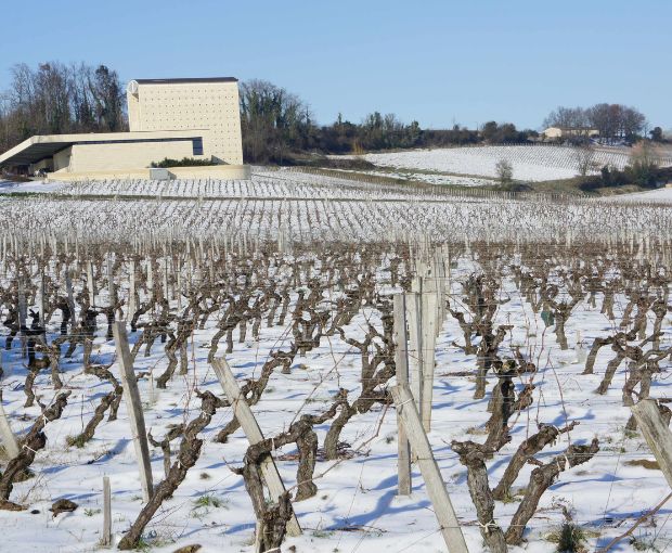 Saint Emilion Grand Cru AOC 2016, Château Pavillon Rocher