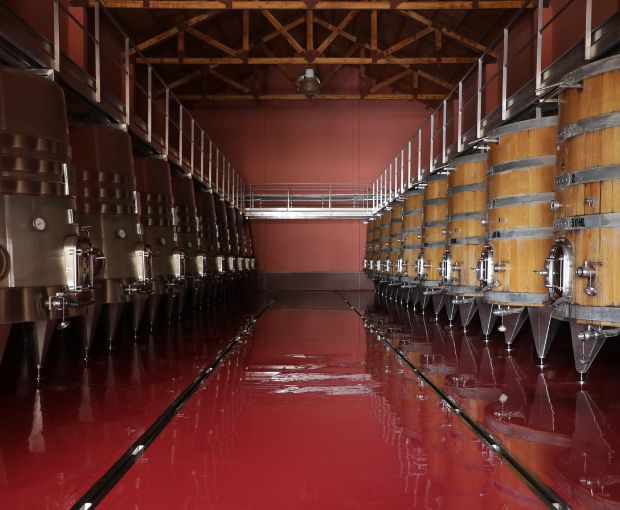 Merlot Gran Reservado Patagonia 2013, Fabre Montmayou