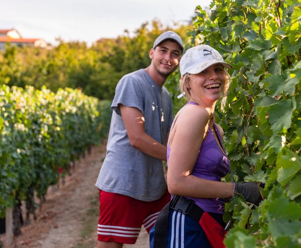 Gavi DOCG, Antico Monastero