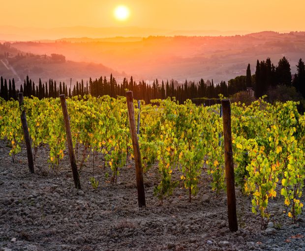 Poggio Al Sondolo IGT, Tenuta Maiano