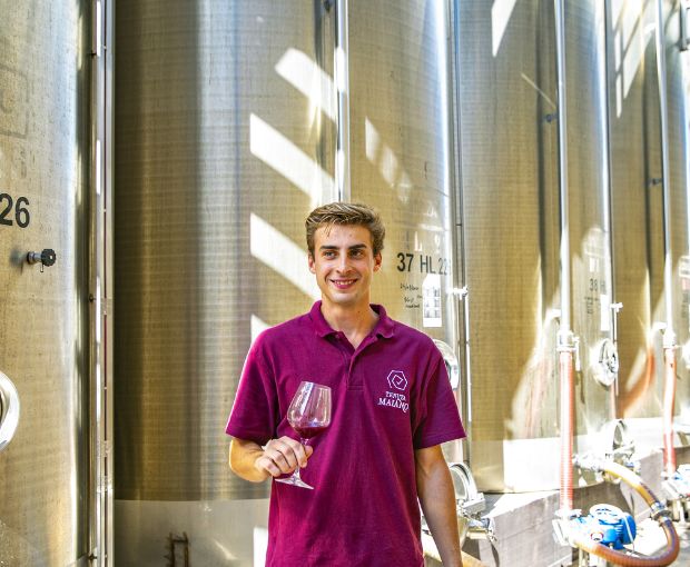 HALF Vin Santo del Chianti DOC 2019, Tenuta Maiano