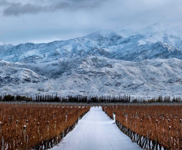 Grand Malbec 2021, Terrazas de los Andes