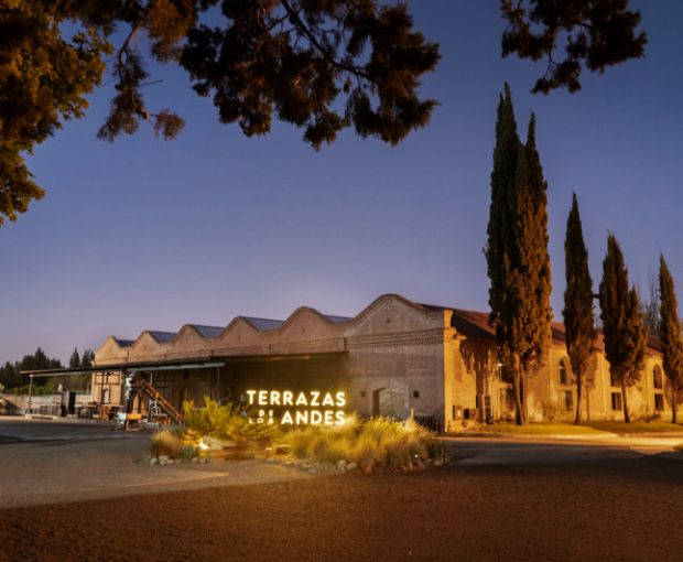 Grand Malbec 2021, Terrazas de los Andes