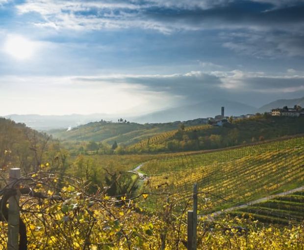 Icone Extra Dry, Terre Di Rai