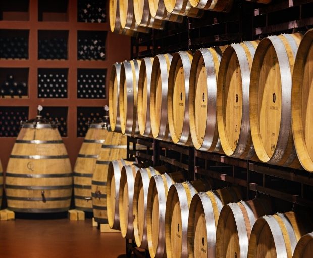 Gran Valtravieso D.O. Ribera del Duero 2020, Valtravieso