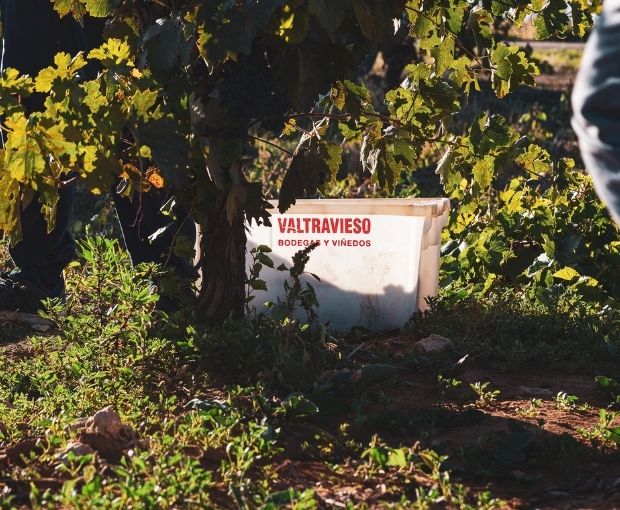 Valdelobas D.O. Ribera del Duero 2021, Valtravieso