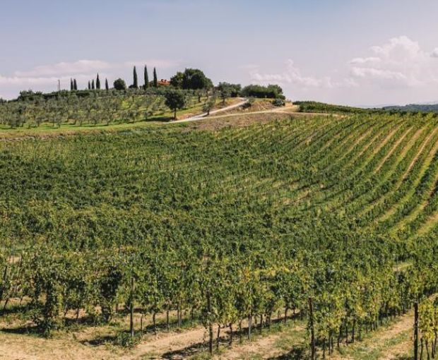 Pulignano IGT Toscana 2018, Villa Bibbiani