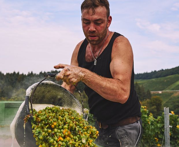 Riesling Kabinett Trocken, Weingut Familie Rauen