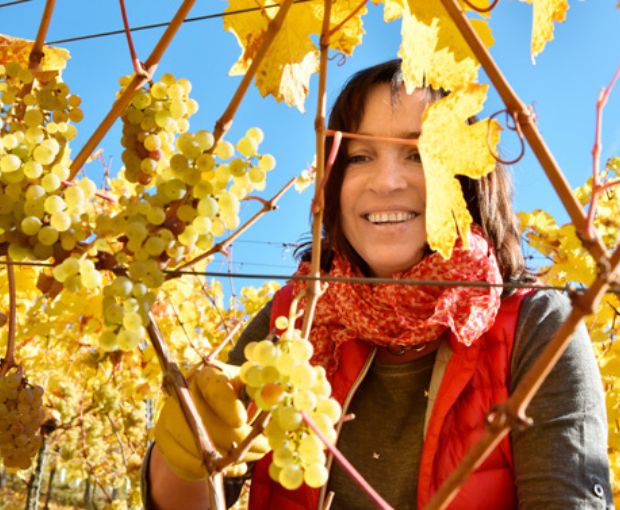 Riesling Kabinett Trocken, Weingut Familie Rauen