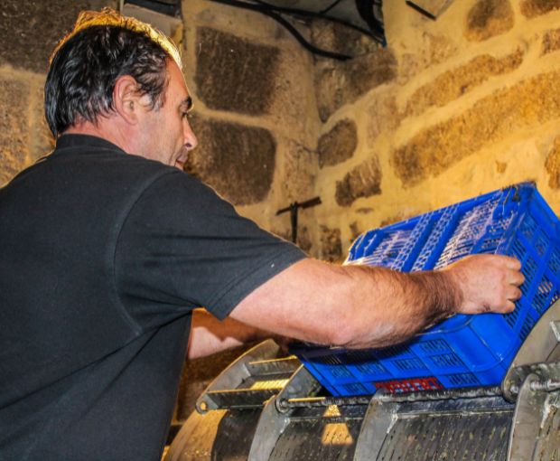 Albariño RO Rias Baixas, Antonio Montero