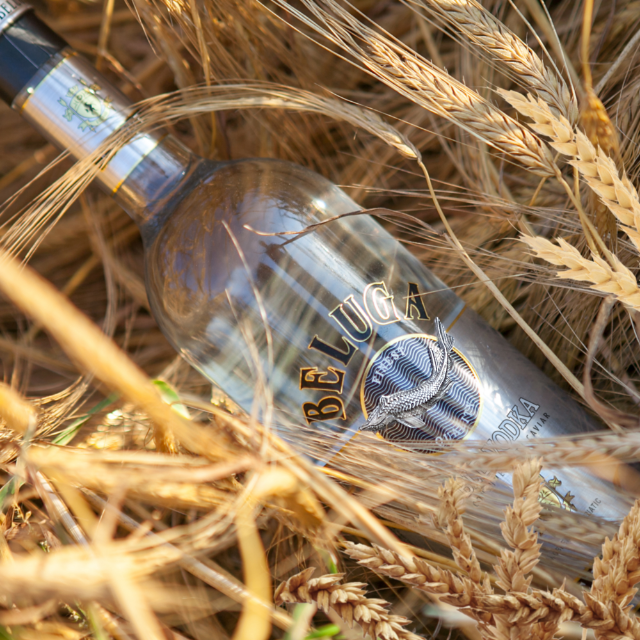 Beluga Noble Vodka