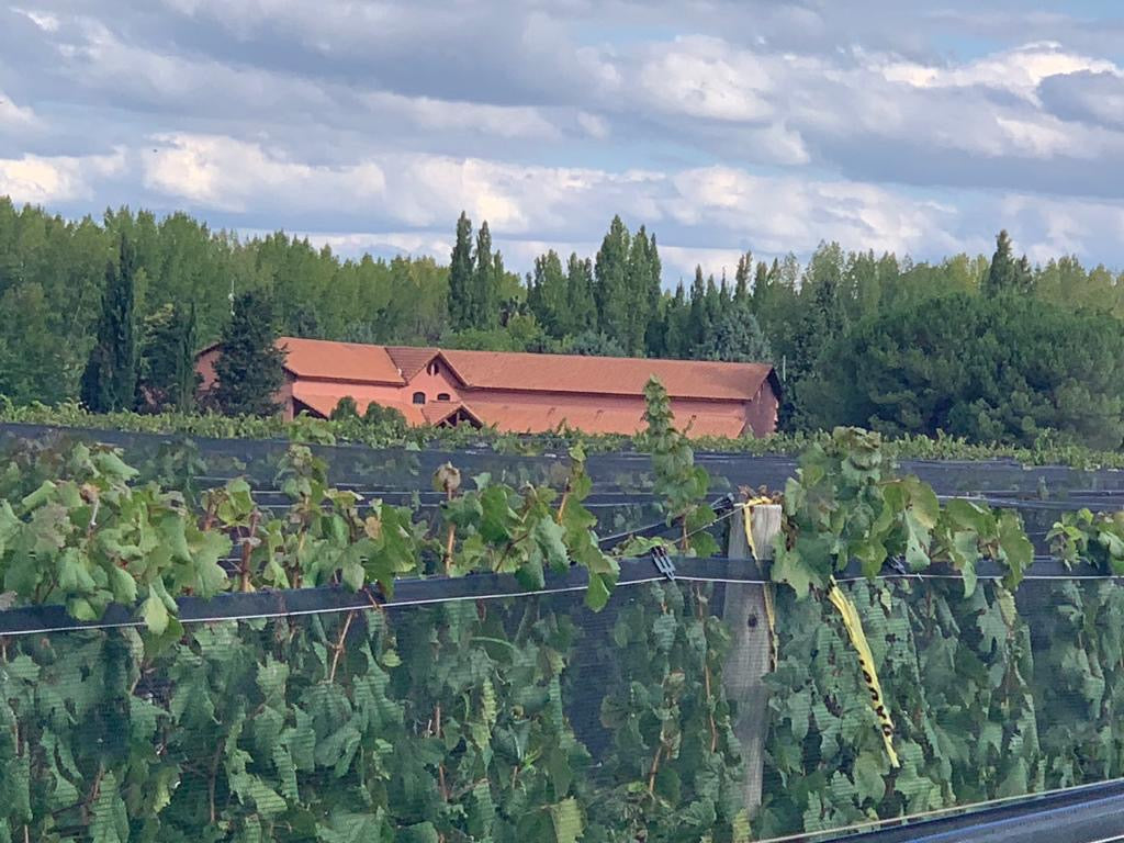 MAGNUM Malbec Gran Reservado 2020, Fabre Montmayou