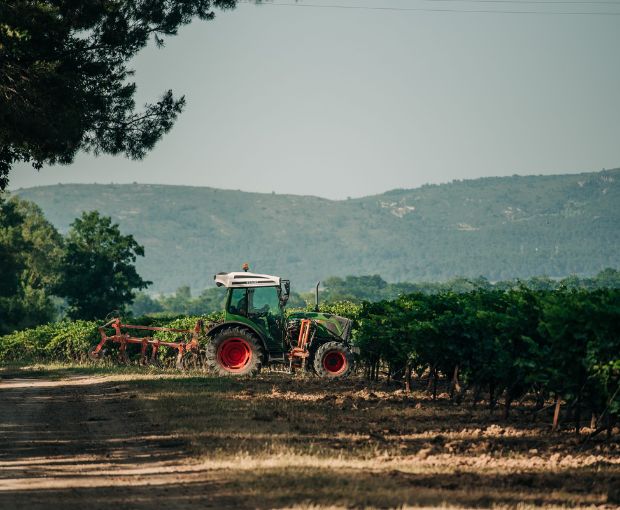 Saint Laurand Collection Privée VdF Blanc, Les Celliers de Corneille